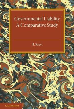 【预售】Governmental Liability