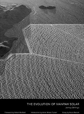 【预订】Jamey Stillings: The Evolution of Iv...