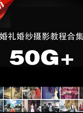 H01-国外欧美时尚婚纱婚礼跟拍摄影教程合集 中文字幕