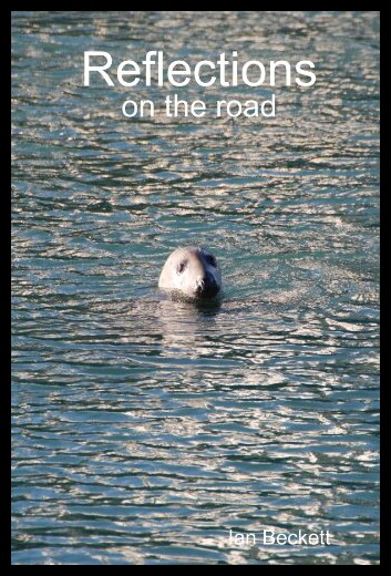 美国库房发货，通常付款后5-8周到货！