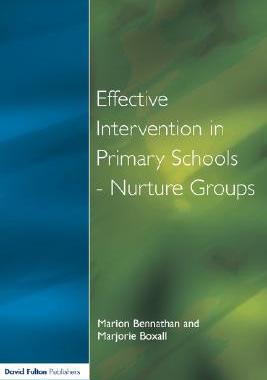 【预售】Effect Intervention in Primary School