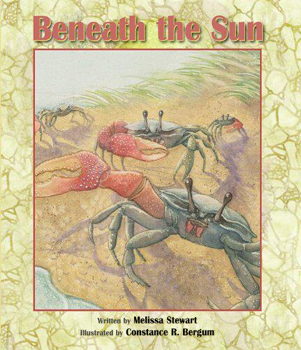 【预售】Beneath the Sun