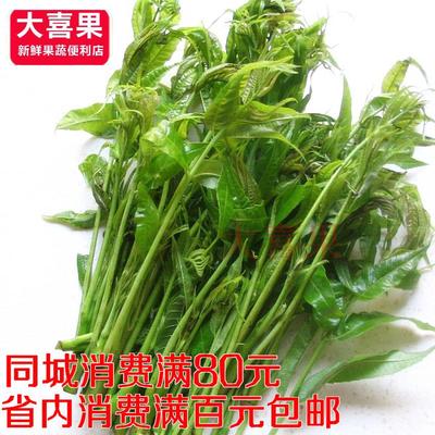 头茬新鲜香椿香椿下饭菜香椿树香椿头香椿现货新鲜香椿菜半斤