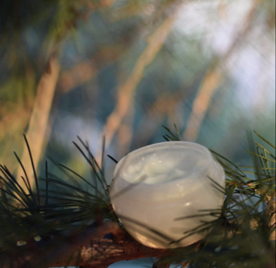 蜗牛面霜修复保湿紧致去痘印