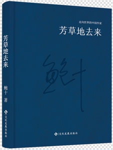 走向世界的中国作家文库芳草地去来精装 社会小说 书籍