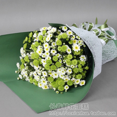 小雏菊花束15只长春市实体花店