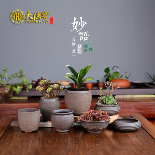 陶瓷紫砂绿萝简约风个性多肉花盆