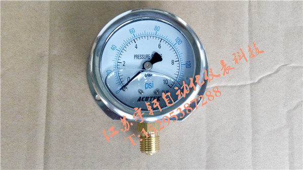 ACUTEK 径向后边 船用耐震压力表 YN100T 10bar 1mpa G1/2