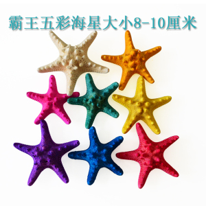 天然海星五角星贝壳海螺直销贴墙造景装饰工艺品地台家居摆件婚庆
