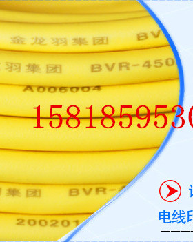 金龙羽BVVR6平方 双层绝缘多股铜芯软电线 进户主线100米【时价】