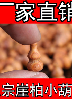 diy正宗小葫芦弟子珠太行山崖柏
