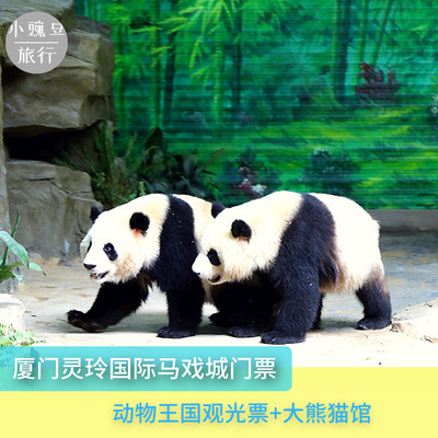 [灵玲国际马戏城-动物王国观光票]灵玲动物王国观光门票含熊猫馆