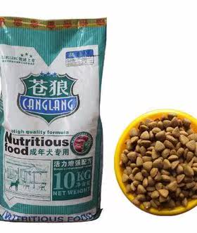 活力天然藏獒金毛泰迪成犬包邮
