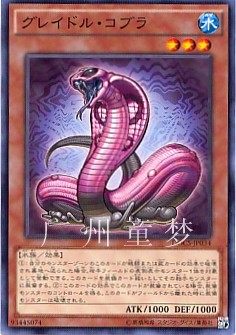 日文眼镜蛇游戏王现货