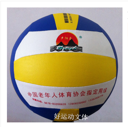 Ballon de volley - Ref 2010972 Image 1