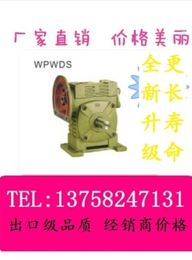 WPWDX WPWDO WPWDT WPWDV 蜗轮蜗杆减速机 小型 变速机 WP减速机