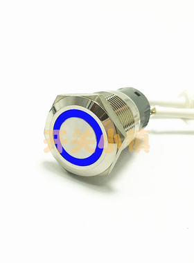 PX 19MM金属按钮开关 复位防水按键 12V蓝色天使眼 汽车 电脑改装