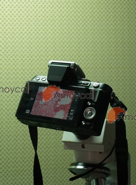 m43 微单 EP1 EPL，GHG1,GF,GX 显微摄影，微单显微镜接环