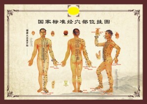 740海报印制展板写真喷绘贴纸26中医养生3国家标准经穴部位挂图