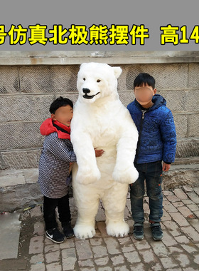 仿真模型标本海洋馆影视道具摆件
