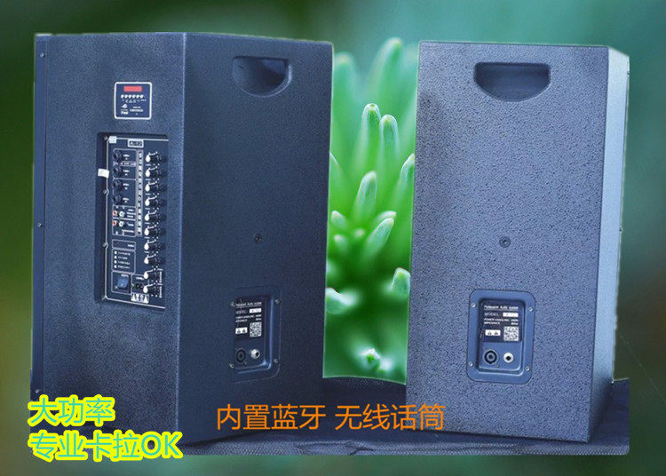 诗乐歌/A10 A12专业有源音箱 内置蓝牙 话筒 大功率有源对箱