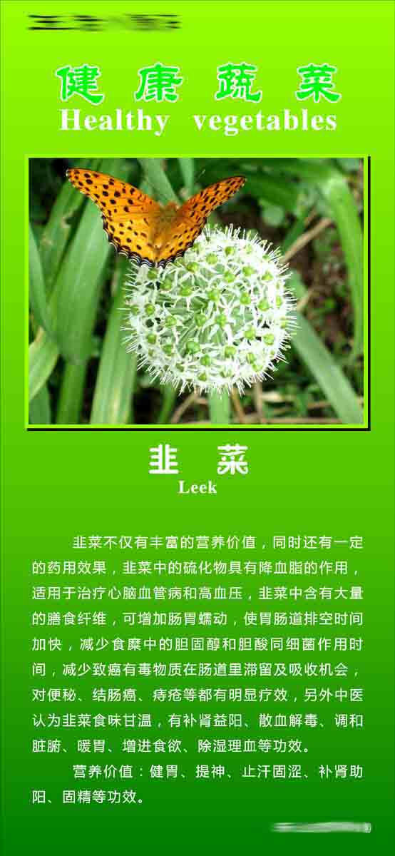 210海报印制展板素材1175韭菜的营养功效