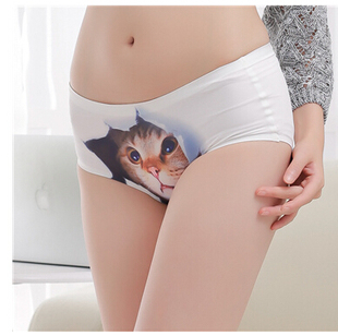 Coques pour soutien-gorge - Ref 814981 Image 27