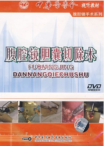 腹腔镜胆囊切除术 中华医学会视听教材 腹腔镜手术系列 中华医学电子音像出版社