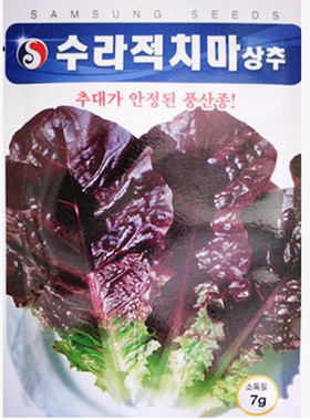韩国种源赤裙生菜种子青裙生菜种子 叶厚基部满堂红紫色生菜