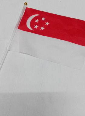 8号外国旗 14*21cm 新加波 彩旗 手摇旗
