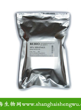 10%蛋白预制胶30块/包 非变性聚丙烯酰胺凝胶电泳 12孔 R070220