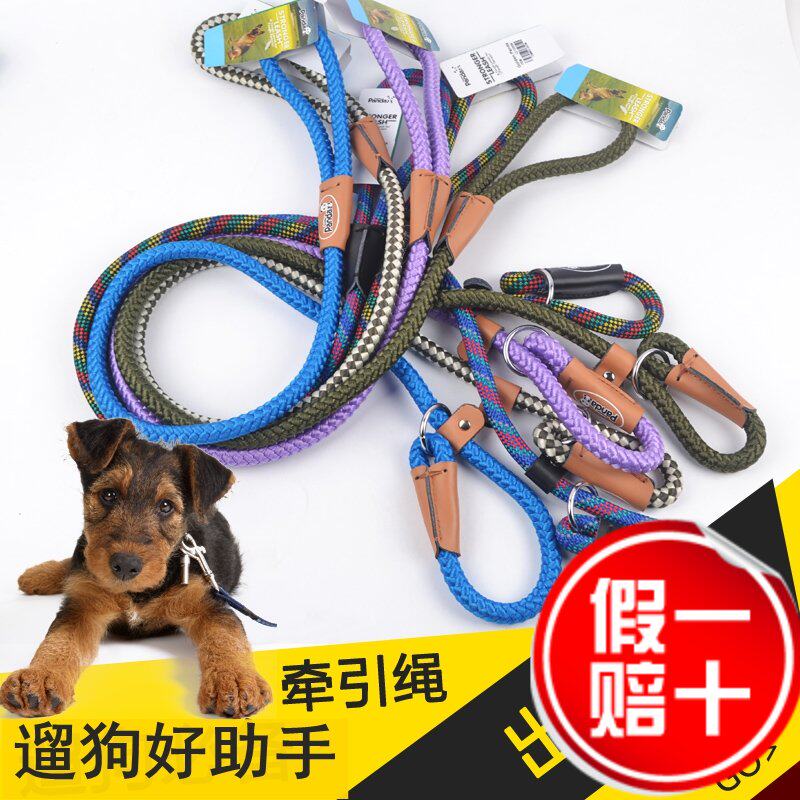 狗狗拉带圆绳宠物牵引绳中小型犬狗牵引绳