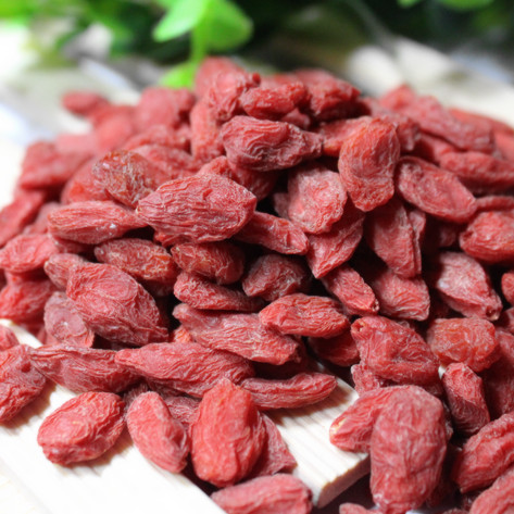 新疆特产精河红枸杞优质500g日照长于宁夏枸杞 无硫无染色