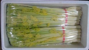 山东青岛平度特产正宗芹菜马家沟芹菜心包邮8元一斤芹菜心