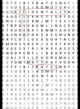 【预售】Accidentally Clever