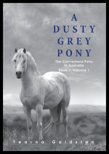 【预售】A Dusty Grey Pony Book 1 Volume 1