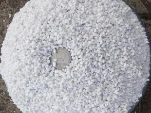 土壤改良 满10元 包邮 珍珠岩500ml 育苗栽培改良 防腐透气防烂根