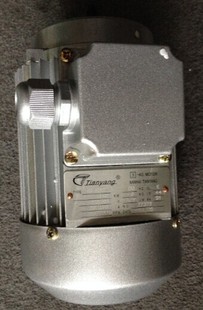 TIANYANG电机YS6324 YS7112 YS 90L4 YY5612 YY6324 Y2-100L2-8