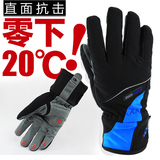 Gants de cyclisme mixte ALPINE - Ref 2254445 Image 29