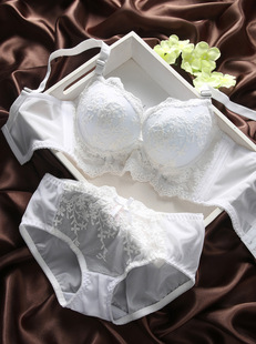 Pads pour soutien-gorge - Ref 820205 Image 16