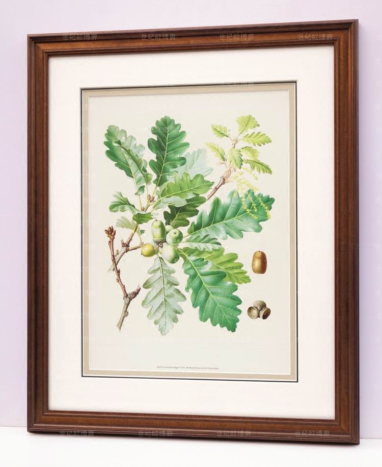 授权纯进口原版画芯简美式客体卧室餐厅花湖植物装饰画 橡树