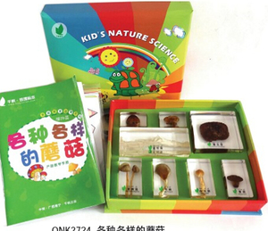 新款幼儿园科学标本各种各样的蘑菇儿童科普模型幼儿科普教具玩具