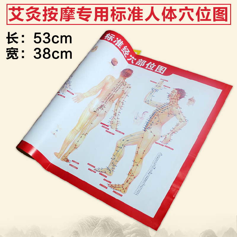 标准人体穴位图大挂图 全身针灸经络图 艾条艾柱随身灸艾灸盒
