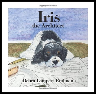 the Iris Architect 预售