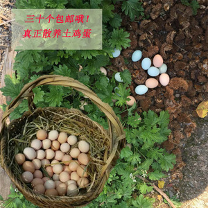 土鸡蛋高山放养草鸡蛋 黄蛋壳 农村散养纯粮补喂 千岛湖农村鸡蛋