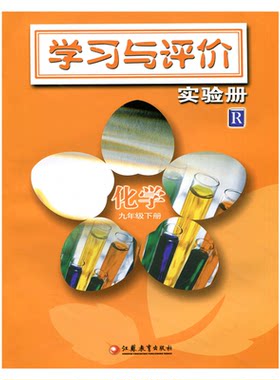 学习与评价实验册R 化学九年级下册