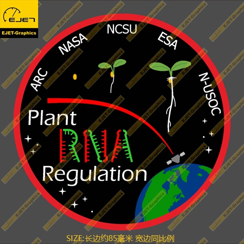 SpaceX Plant RNA Regulation任务徽章个性贴纸车贴旅行箱贴
