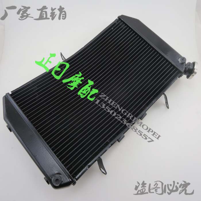 FZ1N FZ1000S 06-07-08-09-10-11-12年 水箱总成 冷水器