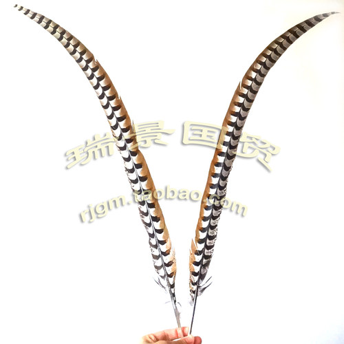 瑞景国贸天然京剧戏曲野鸡毛