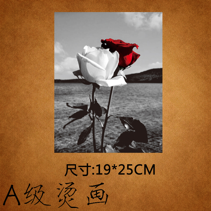 ÄÐÅ®×°ºÚ°×É«¸öÐÔ³±Á÷pet¿ÂʽÈÈתӡ½ºÓ¡²¹¶¡Ìù²¼Ìù·þ×°Ì̻ͼ°¸